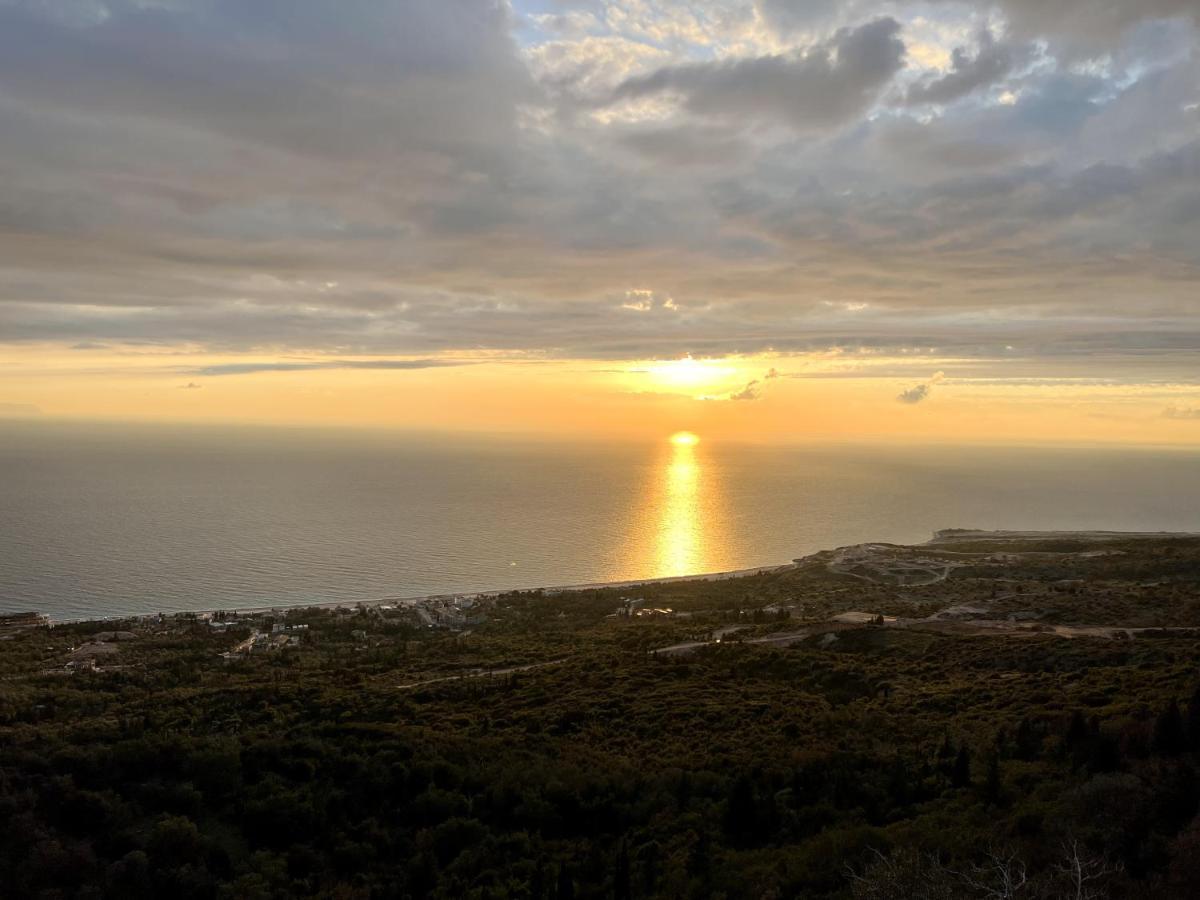 ديرمي Palasa View المظهر الخارجي الصورة